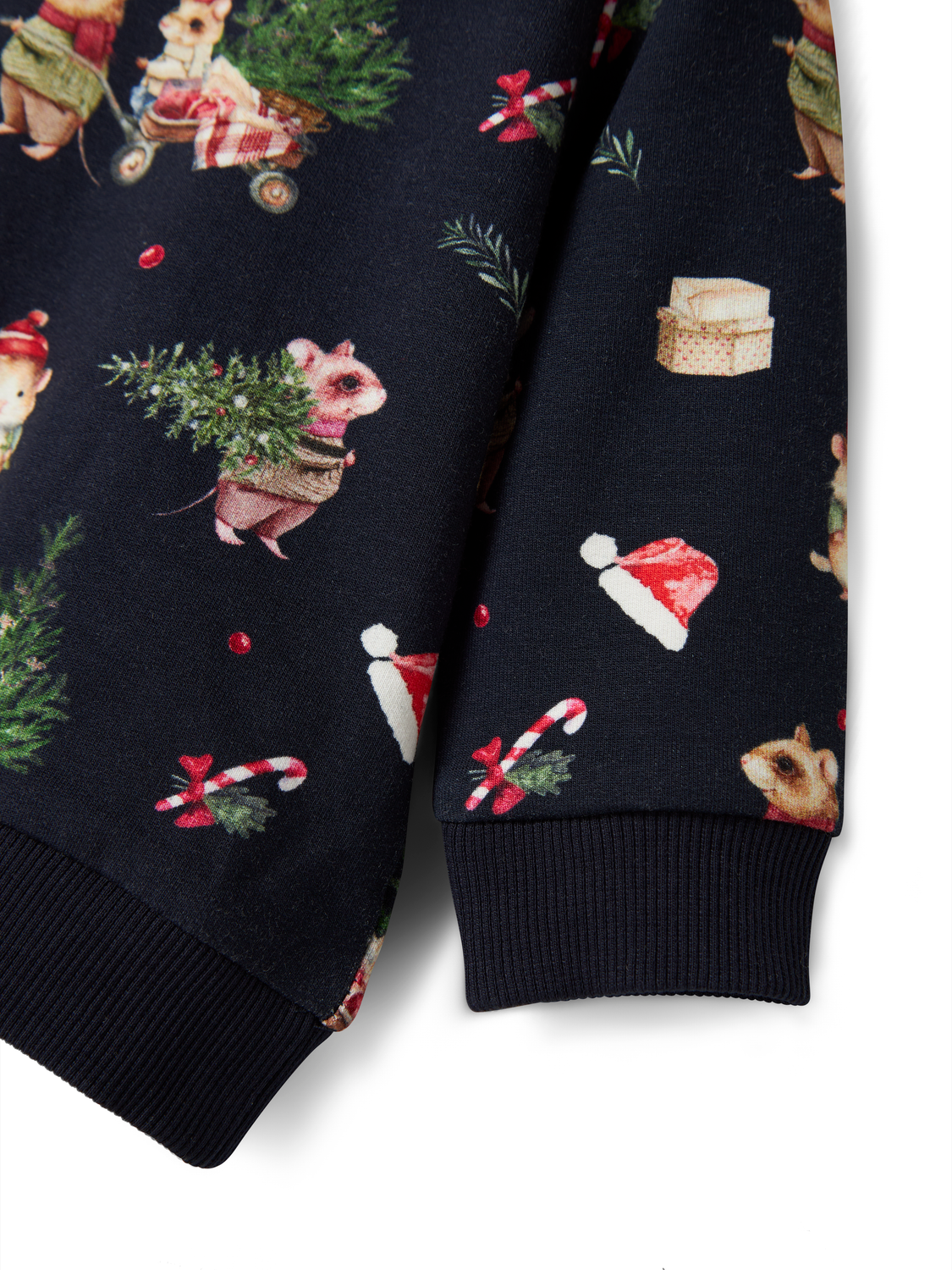 model_shot-front_full